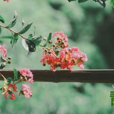 B体育手机版下载